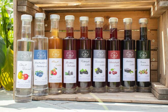 Wanderwege durchs Moor vor der Haustüre