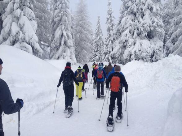 Schneeschuhtour im Böhmerwald