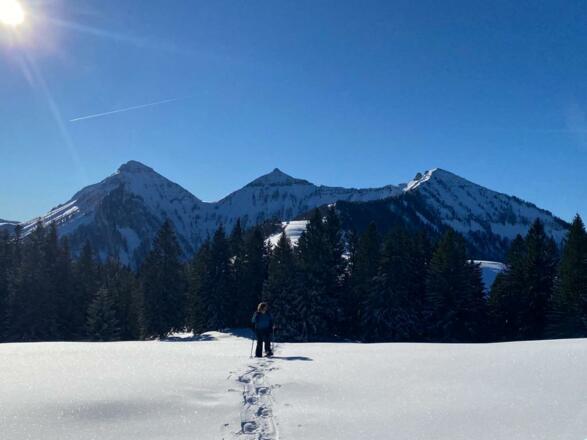 naturbelassener Hintersee; baden, fischen, wandern