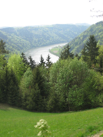 Blick zur Donau