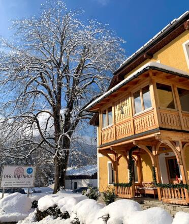 Der Ulmenhof im Winter