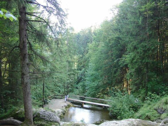 Mühlenwanderweg - Staubecken
