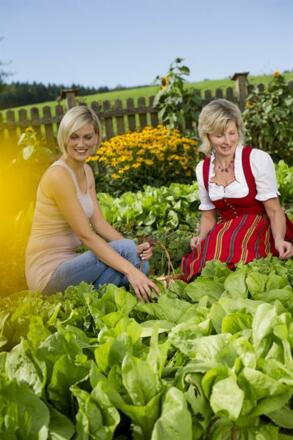im Gemüsegarten