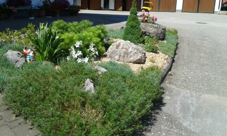 Blumen Sommer4