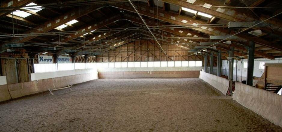 Reiten