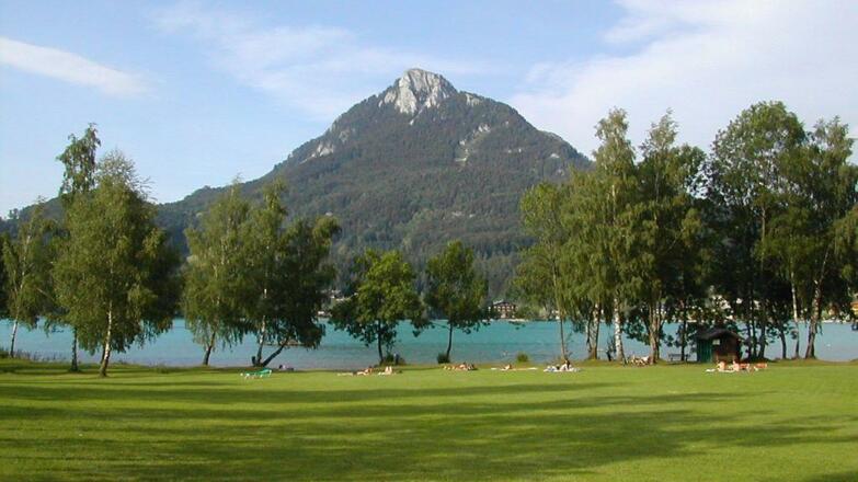 Garten und Liegewiese