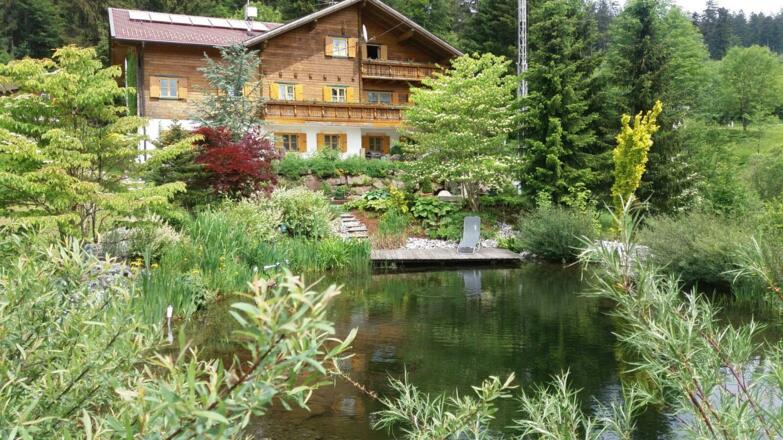 Natur  Teich   mit Liege Platz   zum   Relaxen