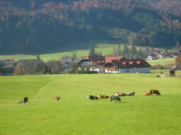 Mühlbauernhof