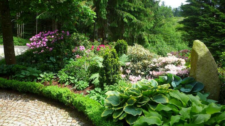 blühender Garten