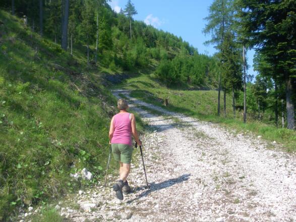 vor der Pfadabzweigung