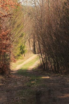 Steinbloss-Mauer-Weg