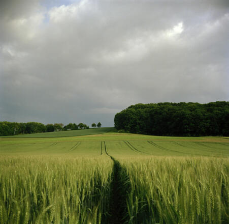 Bauernrunde