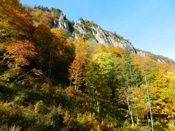 Blick zu den Bodenwies-Felsen