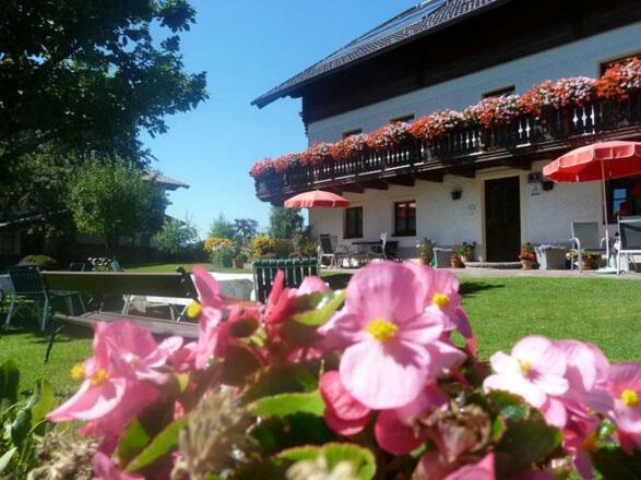 Haus Brigitte im Sommer