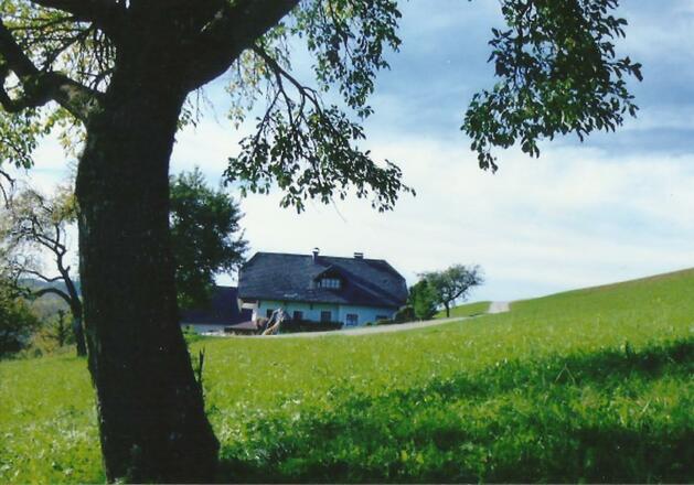 landschaft haus