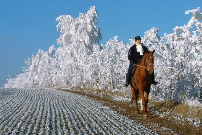 Winterausritt