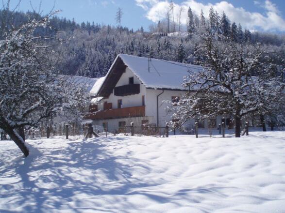 Verschneites Steinwänd