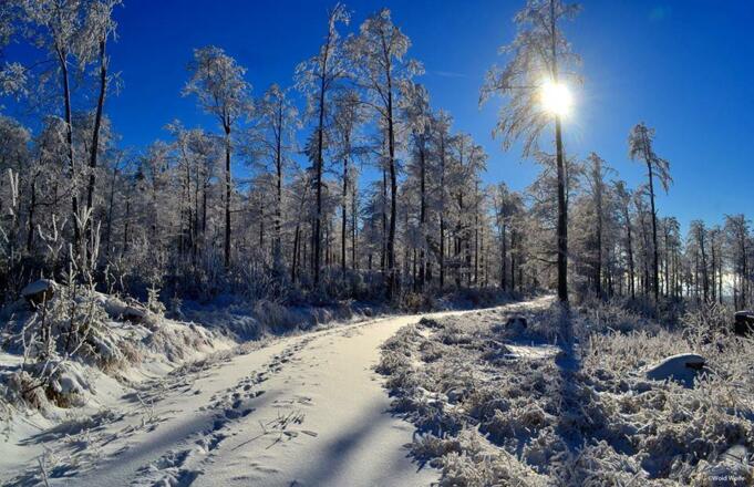 Winteridylle