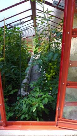 unser Glashaus