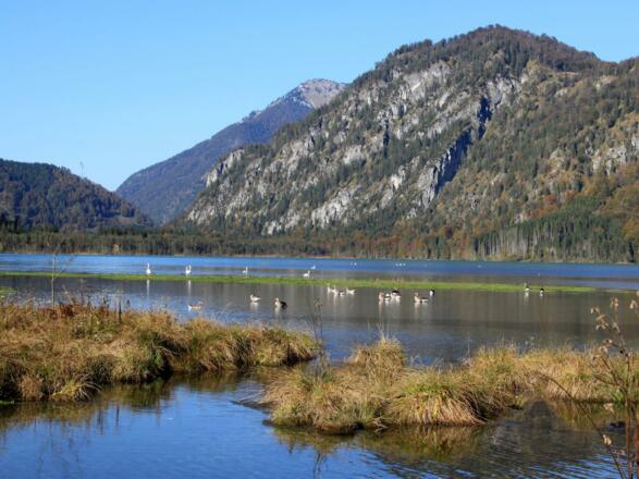Gasthaus Seehaus Impression
