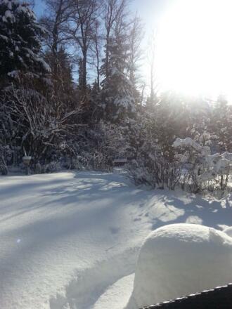 der Garten im Winter