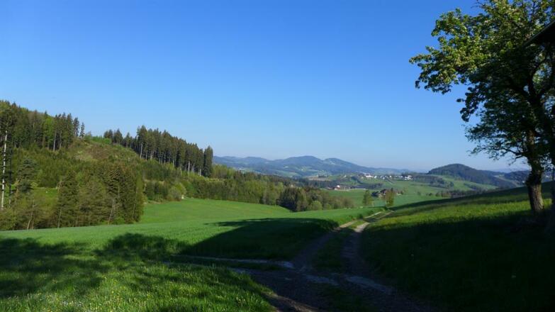 Blick über das schöne Mühlviertel