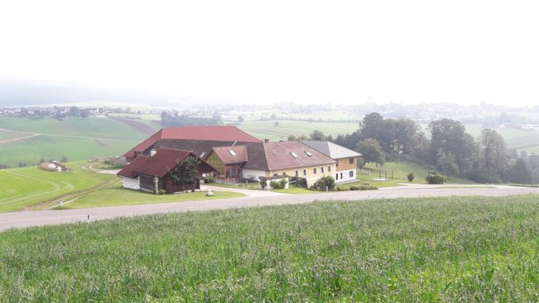 Landschaft