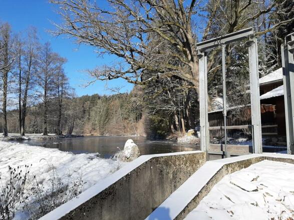 Große Mühl und Sägewerk vorm Haus