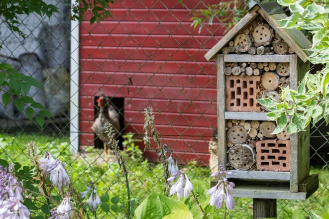 reichhaltiges Frühstück