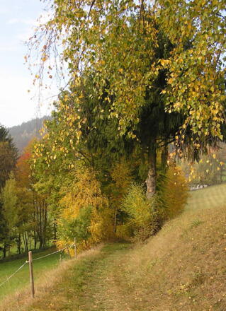 Steinbloss-Mauer-Weg
