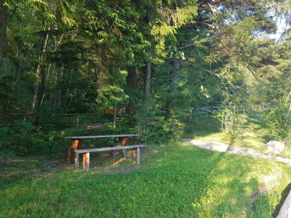 Sommer_12