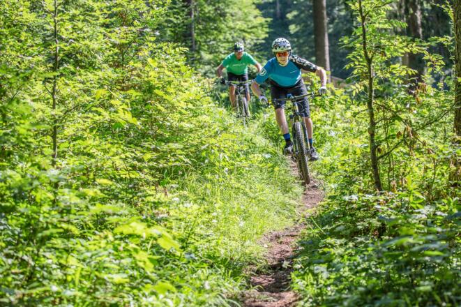 BaySF Bike Trail Kreuth- Langenau