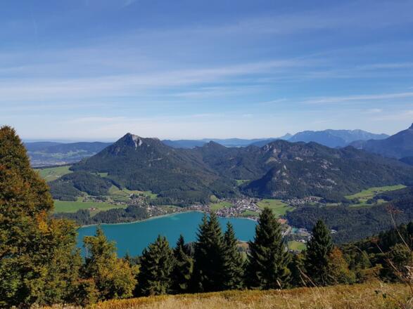 Sommer_06
