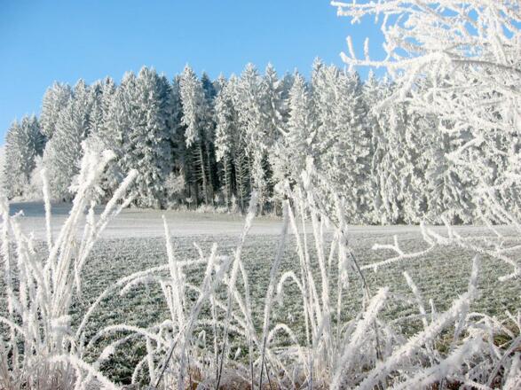 Winterlandschaft