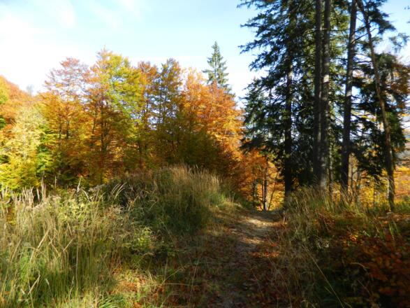 Weg zum Sandgartl