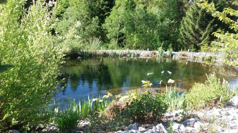NATUR   Teich