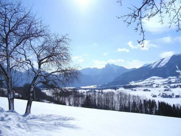 Winter 2