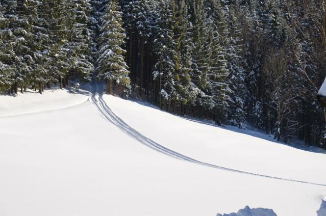 winter 004