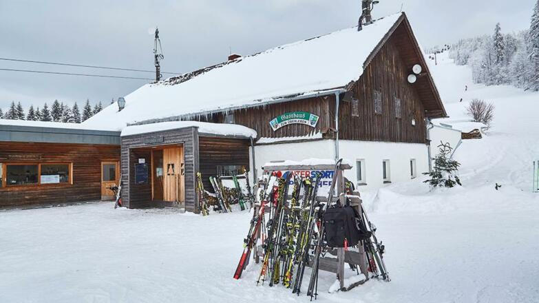 Überleben Frühling