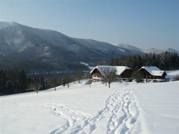 Winter_02