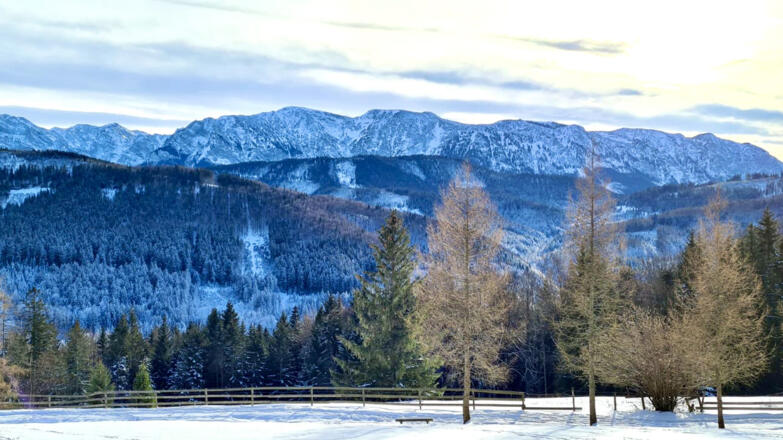 Foedinger Alm Aussicht Winter in Weyregg am Attersee