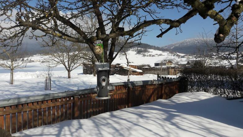 Garten verschneit