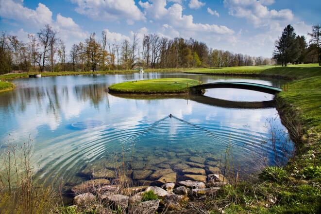 Damenabschlag auf der Insel. Hole 12. Schönes Spiel!