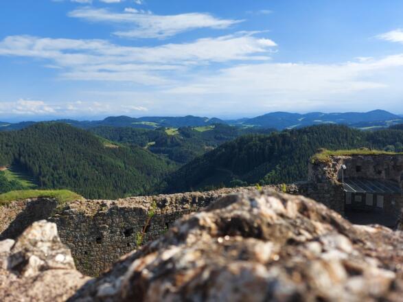 BurgRuttensteinmitWeitblick_TVBMühlviertlerAlm FreistadtWinklehner.jpg