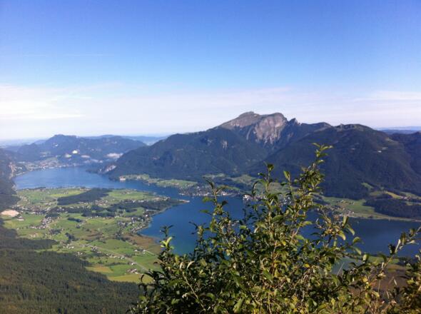 Blick auf den Wolfgangsee