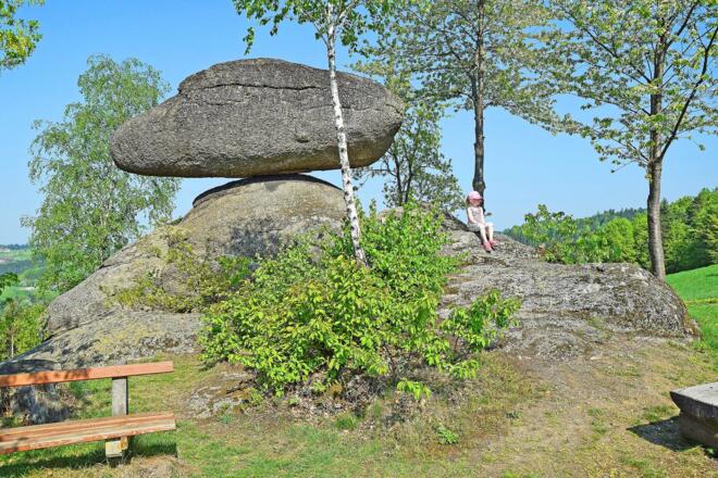 9 Schwammerling Rechberg