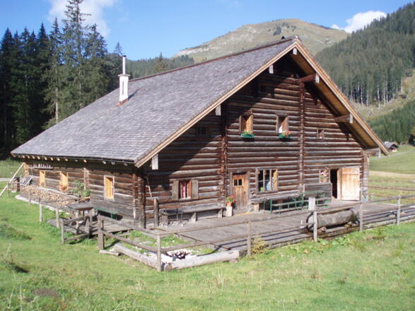 Alpin Hütte