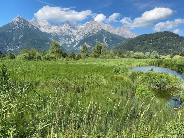 Vom Pillerseetal geht es zu Beginn über den Filzenweg durch schöne Moor- und Feuchtgebiete