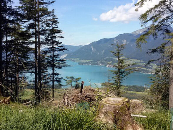 Blick auf den Wolfgangsee