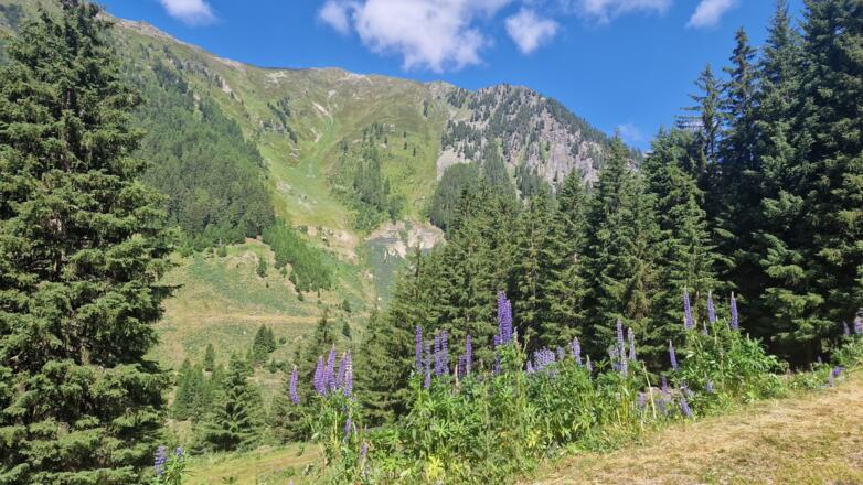 Aussicht von der Kaunertaler Gletscherstrasse